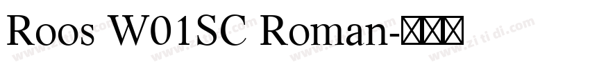 Roos W01SC Roman字体转换